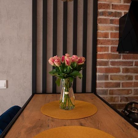 شقة كراكوفيا  في Apartament Rakowicka المظهر الخارجي الصورة
